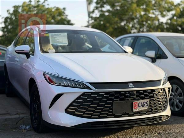بی وای دی Qin Plus 2025  بۆ فرۆشتن لە عێراق - کەرکووک